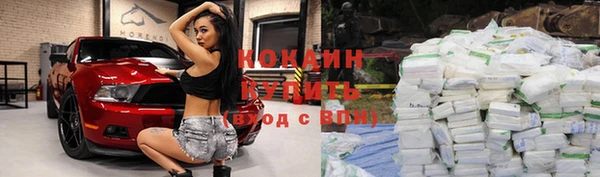 стафф Белокуриха