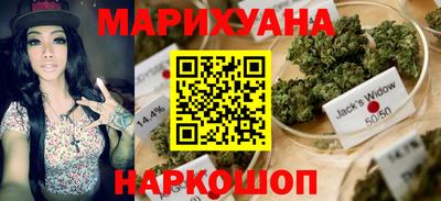гашик Аргун