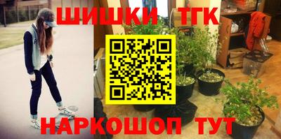 гашик Аргун