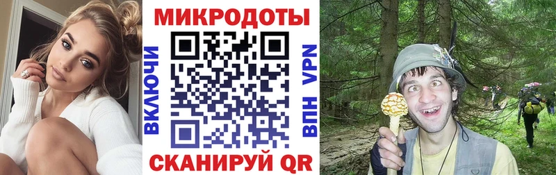 omg ТОР  Верхняя Пышма  Псилоцибиновые грибы Cubensis  как найти закладки 